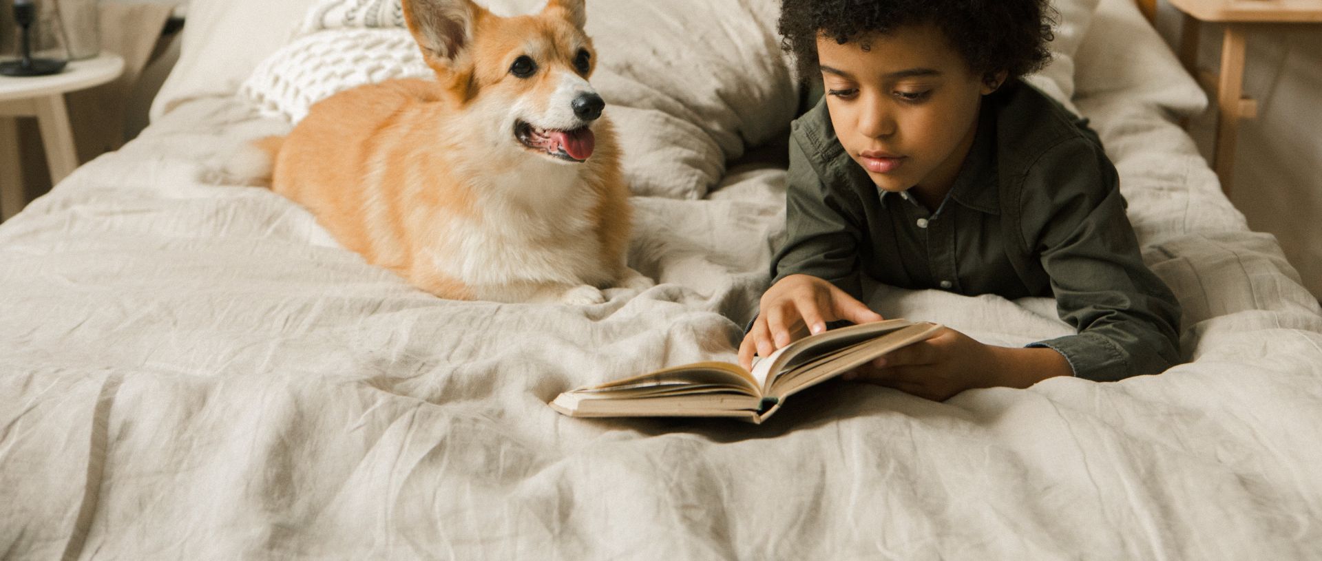 Little Boy Lying in Bed with a Corgi Dog