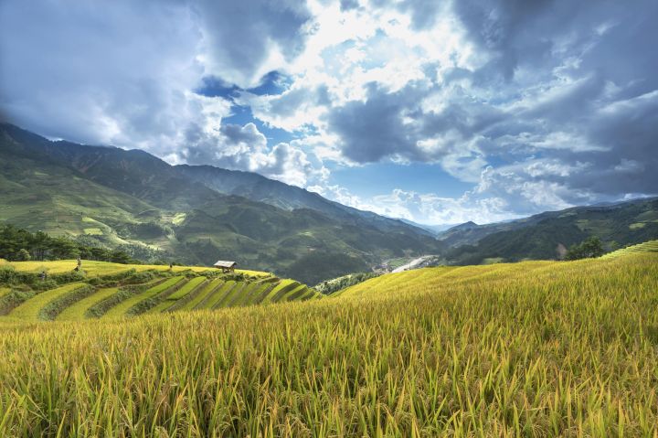 Beautiful terraced fields under a dramatic sky and mountain backdrop.