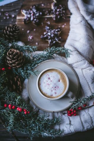 pine branches, pine cones, cup of hot coca and a blanket