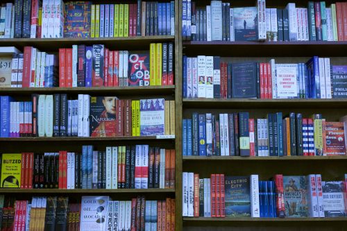 Vibrant array of books on shelves inside a bookstore, showcasing literature diversity.