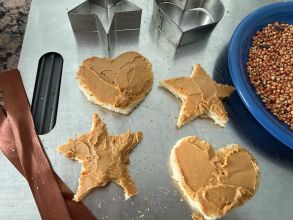 toast shapes with peanut butter on them