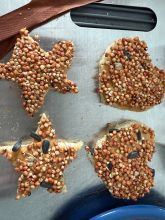 toast shapes with peanut butter and bird seed