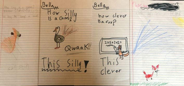 drawings by children of how silly is a goose? and how clever is a fox?