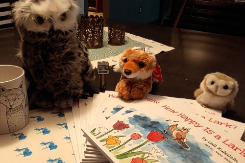 How Happy Is a Lark? stack of books, stuffed owls and fox next to books, a fox mug and some Local Author Michigan stick