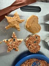toast shapes with peanut butter, some with bird seed