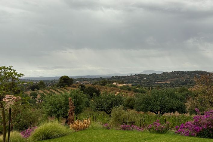 A scenic valley with pink flowers in foreground, farm field in the distance, hills and clouds.