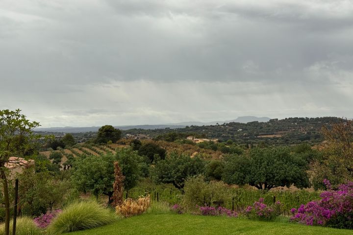 A scenic valley with pink flowers in foreground, farm field in the distance, hills and clouds.