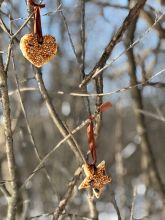 heart and star toast with peanut butter and bird seed hanging from a tree outside